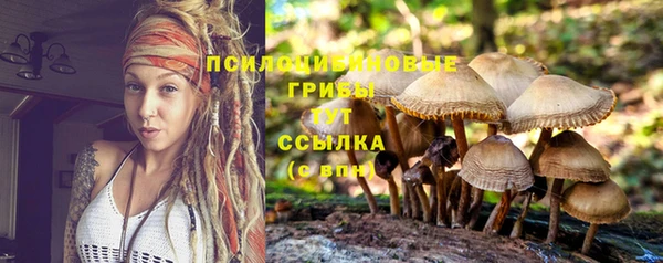 твердый Верхний Тагил